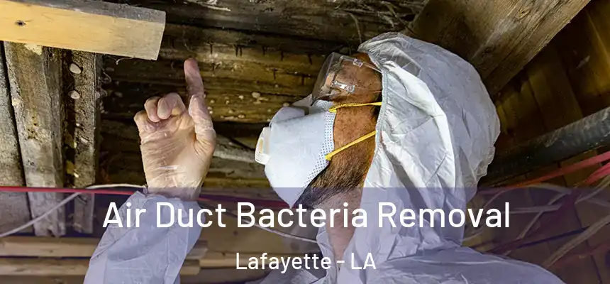  Air Duct Bacteria Removal Lafayette - LA