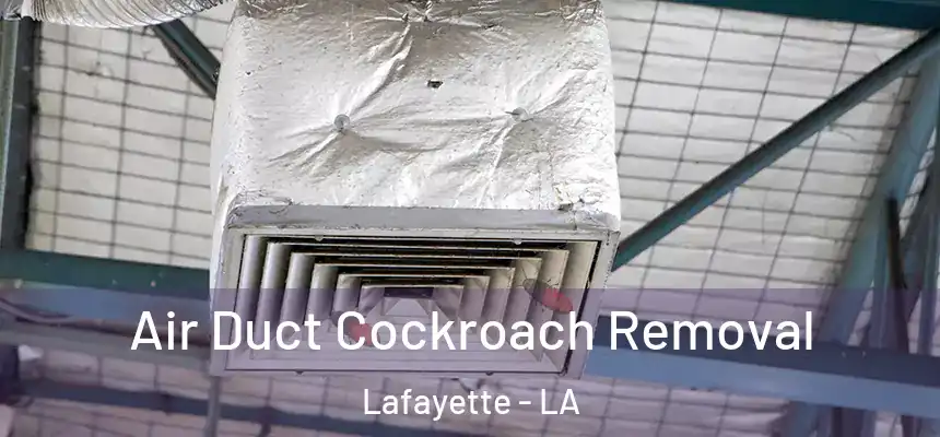  Air Duct Cockroach Removal Lafayette - LA