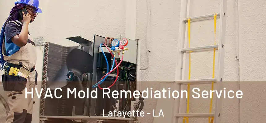 HVAC Mold Remediation Service Lafayette - LA