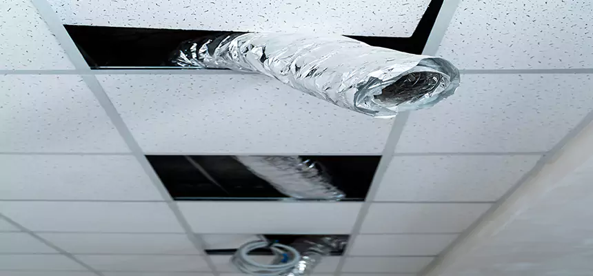 Our Air Duct Pet Hair Removal Services in Lafayette, LA