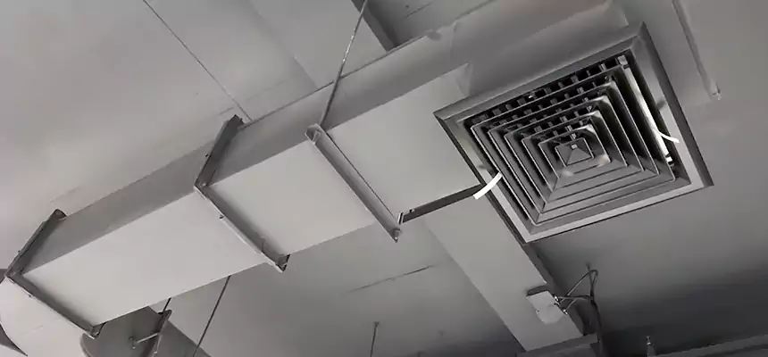 Restorative Allergy Relief Vent Cleaning – Coil, Blower & Housing Detail in Lafayette