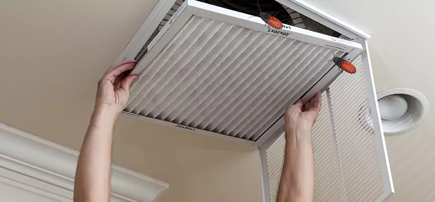 Our Insect Removal from Air Ducts Services in Lafayette, LA