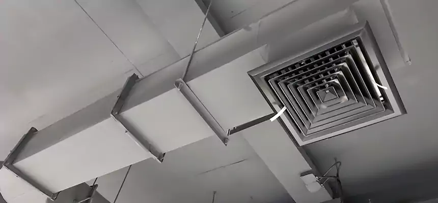 Our Pest Removal From Ducts Services in Lafayette, LA