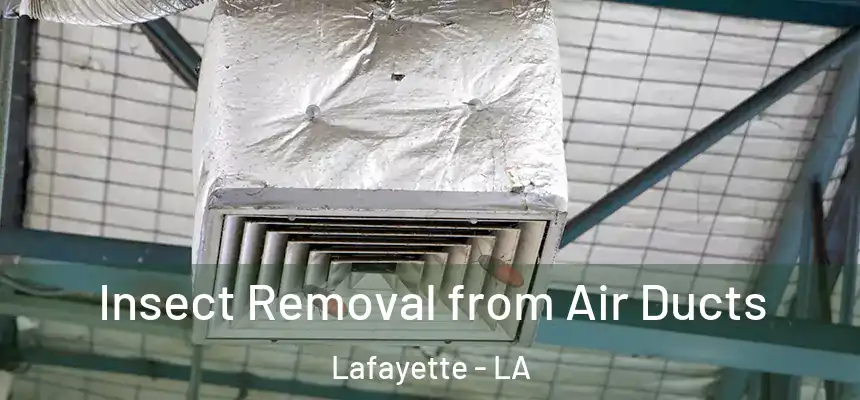  Insect Removal from Air Ducts Lafayette - LA