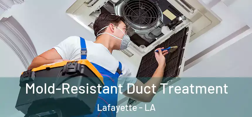 Mold-Resistant Duct Treatment Lafayette - LA