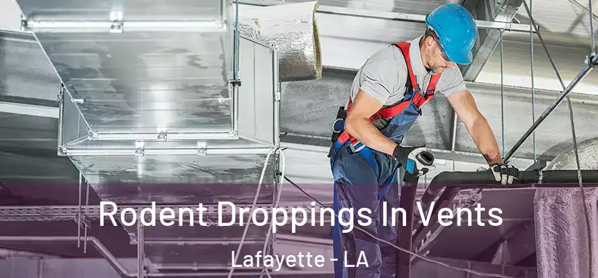  Rodent Droppings In Vents Lafayette - LA