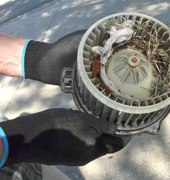 About Air Duct Rat Removal in Lafayette, LA