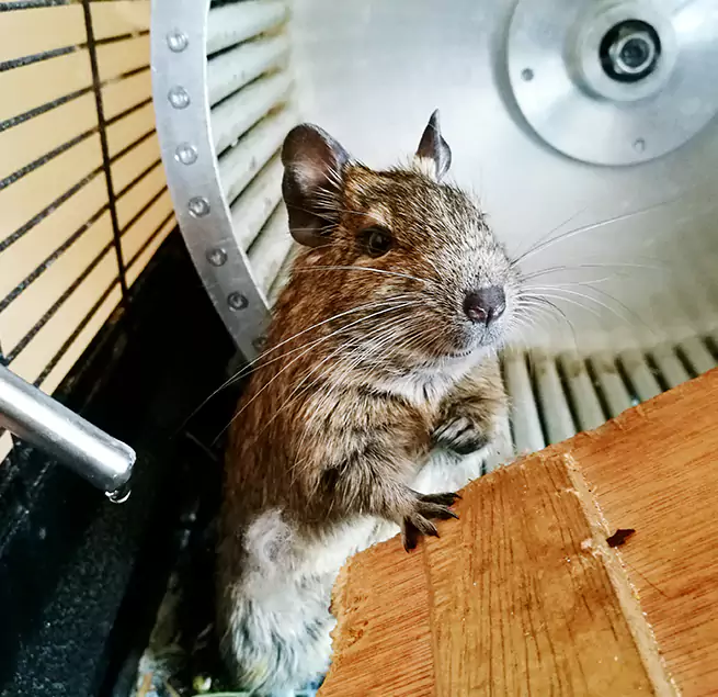 Why Homeowners & Businesses Trust Us Lafayette, LA