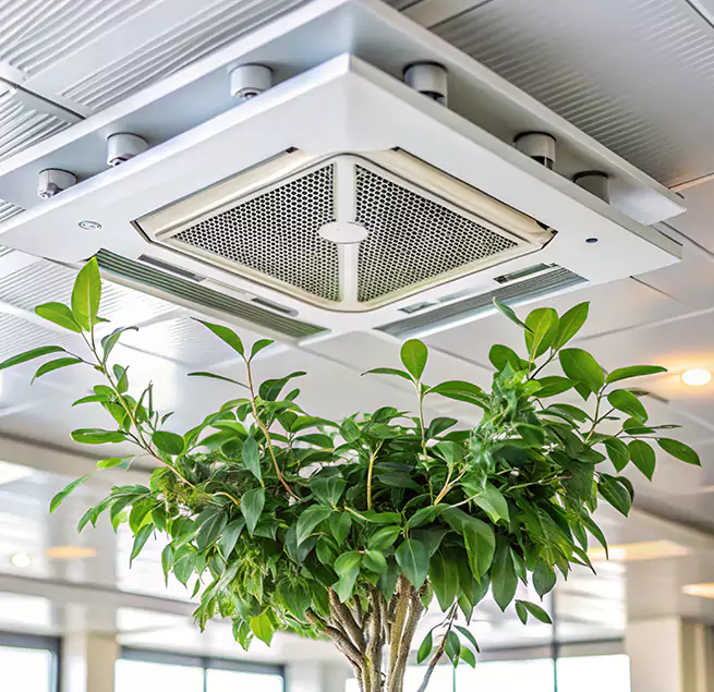 Why Homeowners & Businesses Trust Us in Lafayette, LA