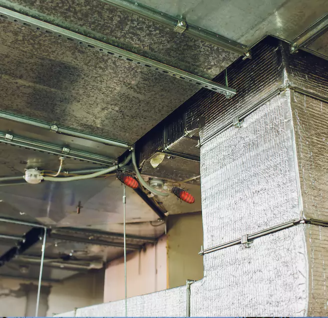 Why Homeowners & Businesses Trust Us Lafayette, LA?